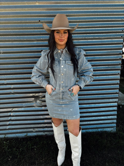 The Denim Bow Dress in Light Wash