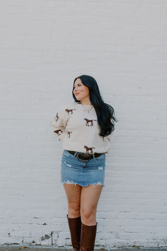 Bronco Babe Sweater